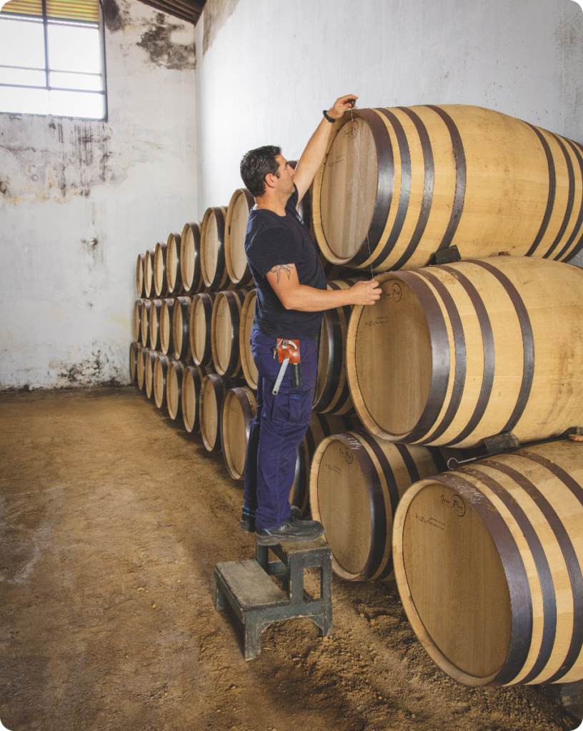 Our Sherry Partnerships